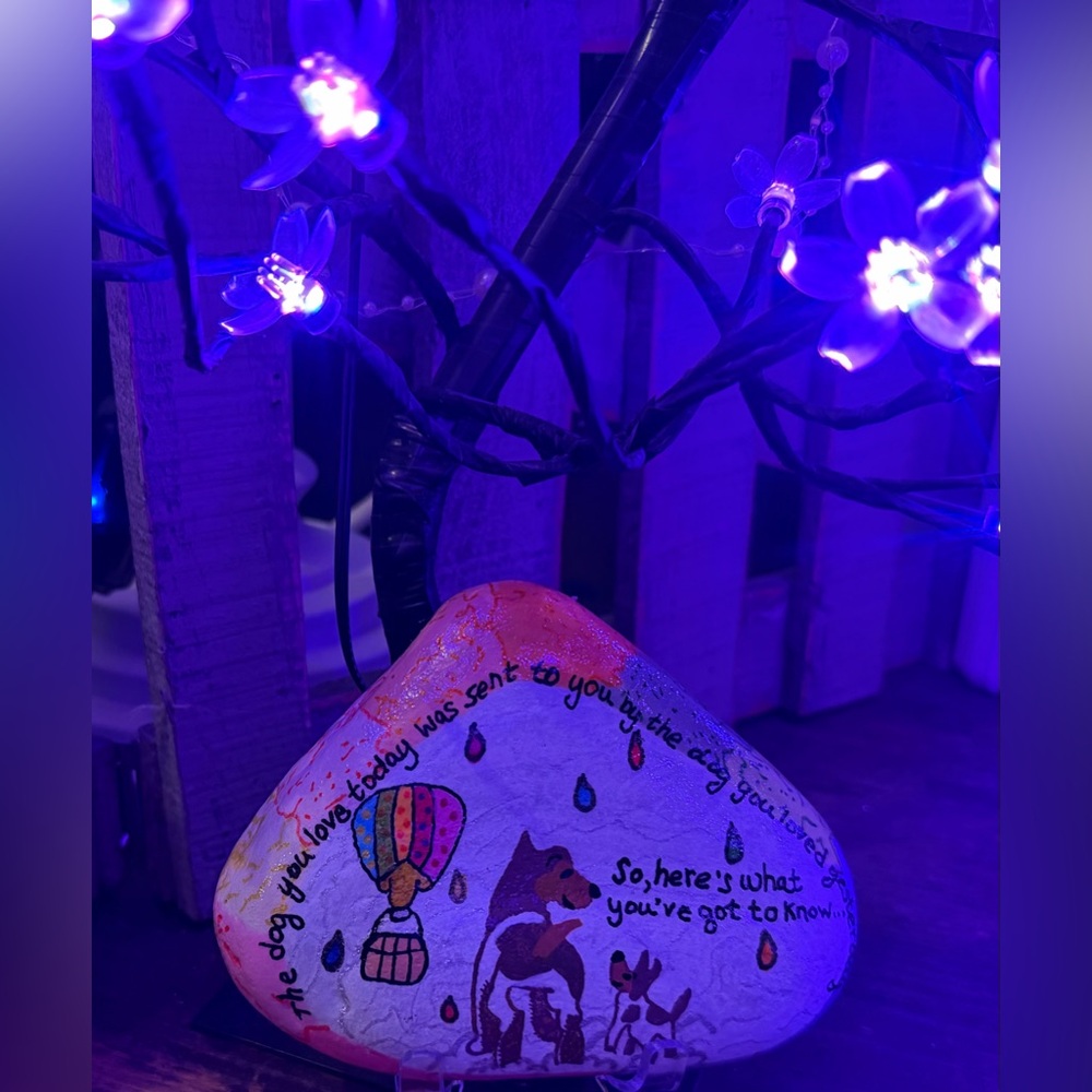 Hand-Painted, Colorful Memory Rock for Dogs - Picture 6 of 12